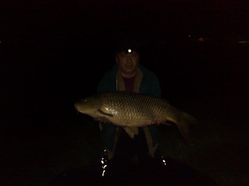 Diverse - 210420131072.jpg